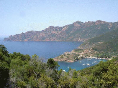 la spiaggia di Porto in Corsica la spiaggia di Porto in Corsica