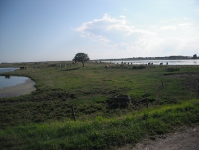 Dintorni del campeggio Ljungens
