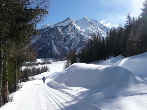 Parco Nazionale del Gran Paradiso innevato Parco Nazionale del Gran Paradiso innevato