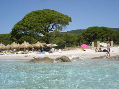 la Plage de Palombaggia la Plage de Palombaggia