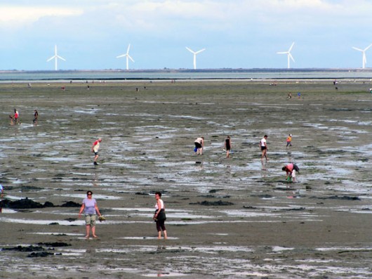 Fango, gente e pesca a piedi al Passage du Gois