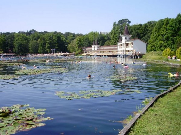 Lago termale ad Heviz Lago termale ad Heviz
