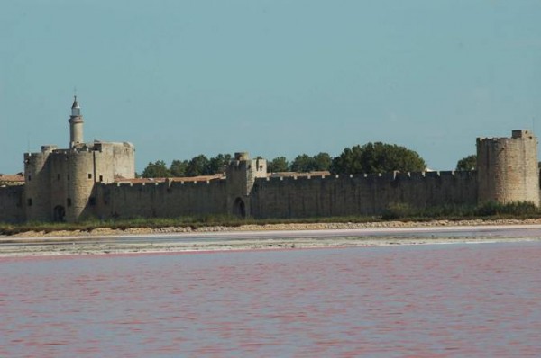 Il Forte Aigues Mortes dalle Salin du Midi