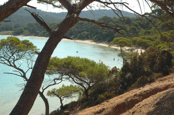 Ile di Porquerolles