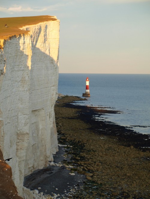 Beachy Head - Le bianche scogliere Beachy Head - Le bianche scogliere