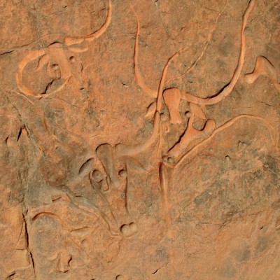 Algeria | Incisione "la vache qui plore" "la mucca che piange"