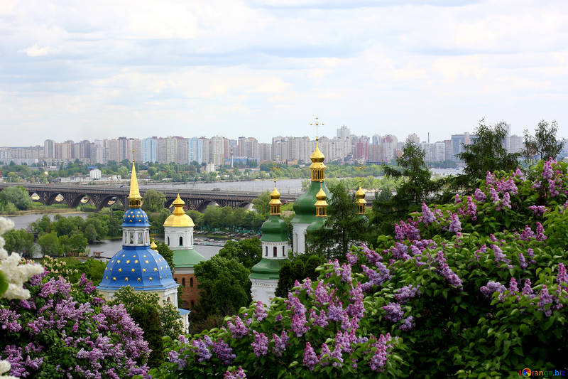 ucraina