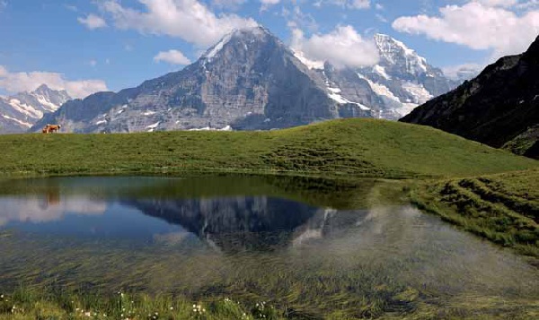 Jungfrau Aletsch Jungfrau Aletsch