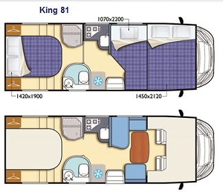 king-81-pianta