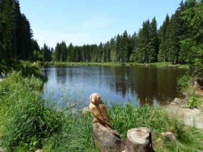 Titisee | Lago