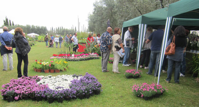 Giardini della Landriana ad Ardea Giardini della Landriana ad Ardea