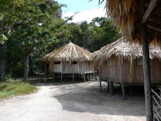 Malocas in Amazzonia Malocas in Amazzonia