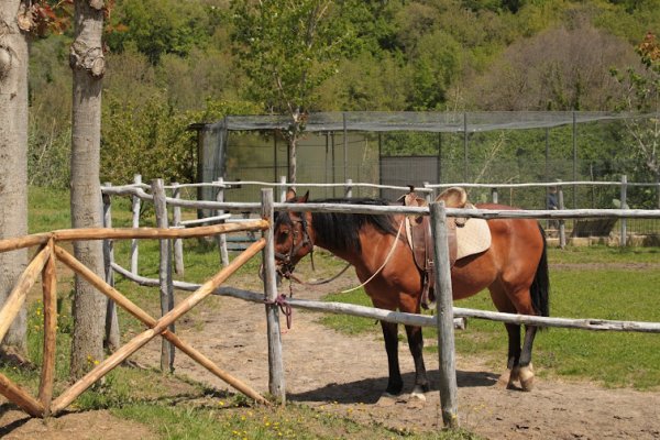Parco La Nuova Peschiera di Teano Parco La Nuova Peschiera di Teano