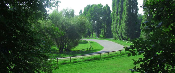 Parco al Po di Cremona