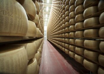 Alla scoperta del Parmigiano Reggiano in camper