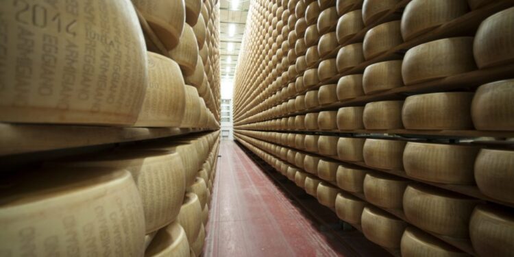 Alla scoperta del Parmigiano Reggiano in camper