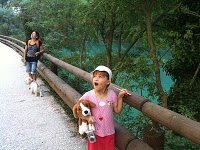 Passeggiata Gola del Furlo Passeggiata Gola del Furlo