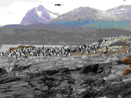 rediscovering_americas_19 rediscovering_americas_19