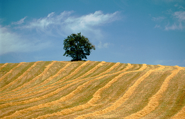 rurale