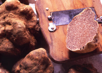 tartufo