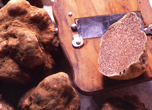 tartufo