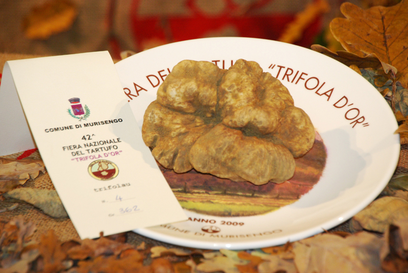 tartufo