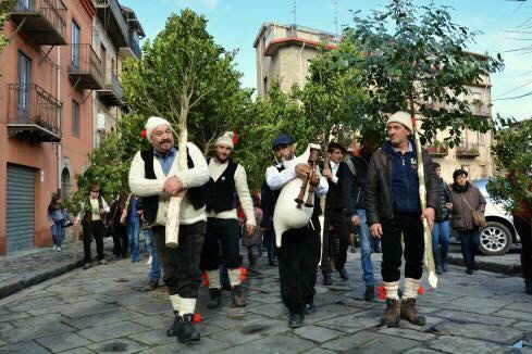 tortorici