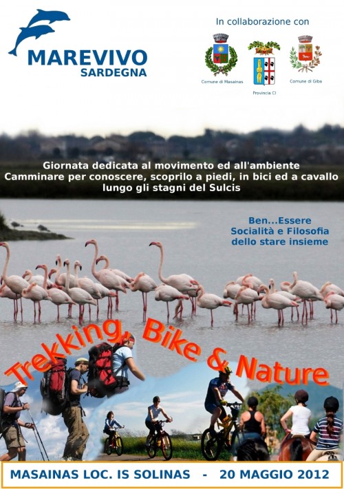 trekking-bike-nature