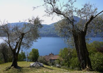 Qualche idea per passare al meglio Ferragosto e dintorni!