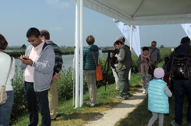 Il bilancio. Curiosità e numeri della Po Delta Birdwatching Fair di Comacchio
