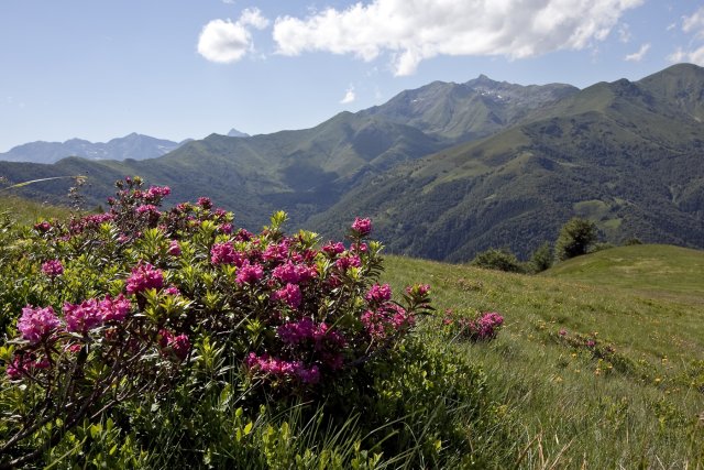 ESTATE ALL’OASI ZEGNA ESTATE ALL’OASI ZEGNA