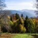 Nei borghi dell’Alta Val Brembana esplodono i colori del foliage