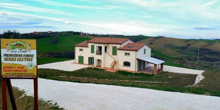 la fonte società agricola