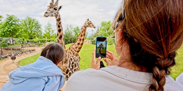 Nasce il Lake Eyasi Resort, il primo glamping in un bioparco