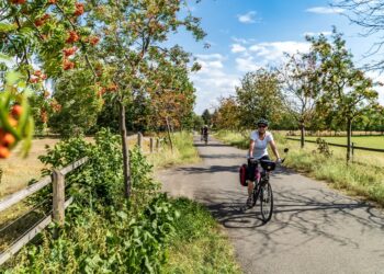 Esplorare la regione di Lipsia in bicicletta – I 5 percorsi migliori