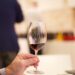 XVI Salone dei Vini e degli Oli oggi a Sannicandro di Bari