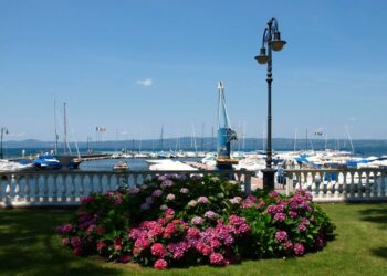 La Festa delle Ortensie torna a colorare Bolsena: appuntamento dal 14 al 16 giugno