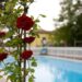 Garden Sharing: le strutture vicino alle terme