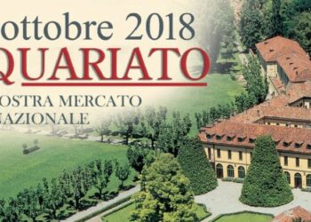 antiquariato
