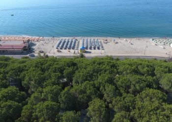 Nuova Convenzione Tessera Turit con il Camping Case Vacanza Lungomare (CZ)
