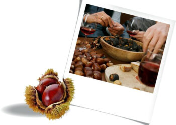 Grande festa a Vicenza, il 23 ottobre: torna il tradizionale Porte Aperte d’Autunno Bonometti