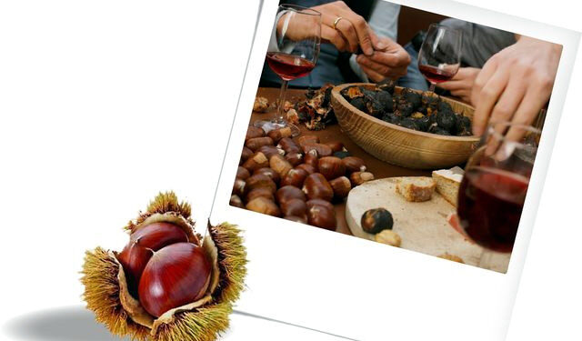 Grande festa a Vicenza, il 23 ottobre: torna il tradizionale Porte Aperte d’Autunno Bonometti