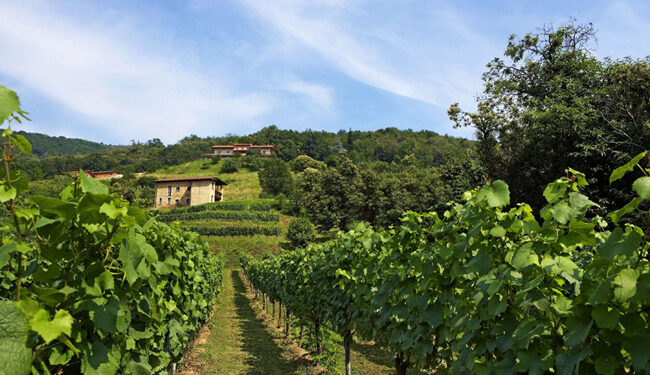 In camper fra le vigne: apre il primo Agricampeggio della Franciacorta