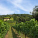 In camper fra le vigne: apre il primo Agricampeggio della Franciacorta