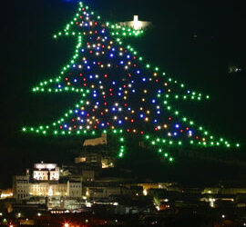 Umbria: Sotto l'Albero più grande del Mondo