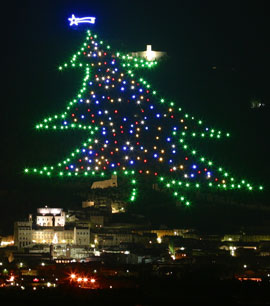 Umbria: Sotto l'Albero più grande del Mondo