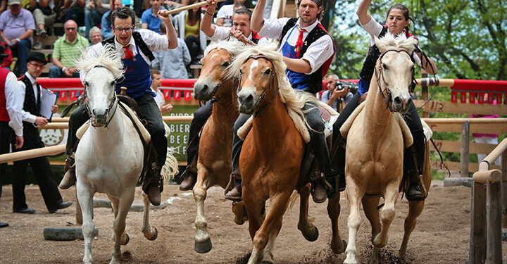 Alpe-di-Siusi-Marketing-Cavalcata-Oswald-Von-Wolkenstein-Sara-Baroni