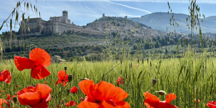 Estate in Umbria: le novità tra eventi, cultura e outdoor