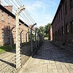 Auschwitz