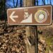 Alla scoperta degli alberi parlanti nel Parco Naturale Boschi di Carrega (PR)